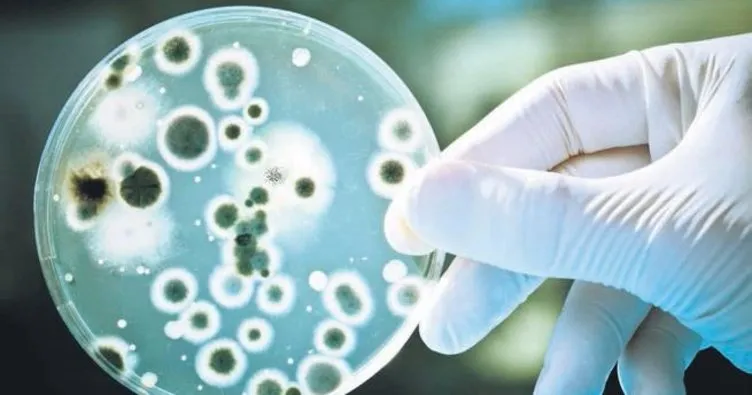 Avrupa dahil 10 ülkede daha görüldü dirençli bakteri alarmı