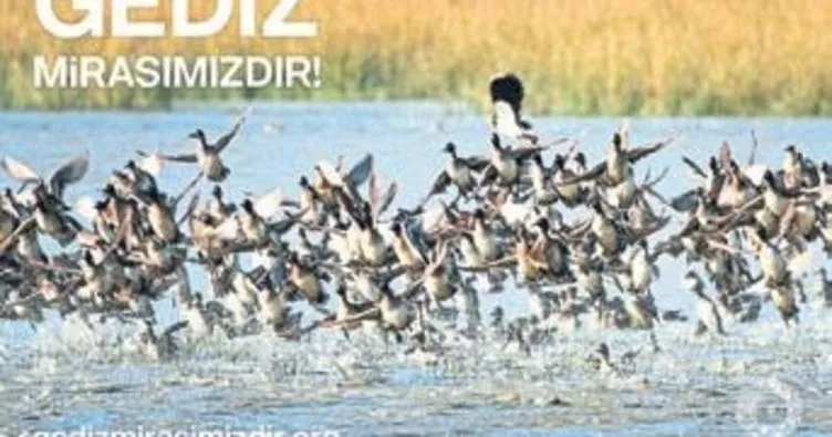 Gediz Deltası’nın 297. kuş türü pufla