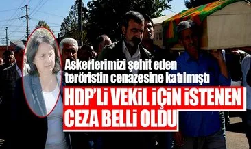 HDP’li vekile hapis yolu göründü