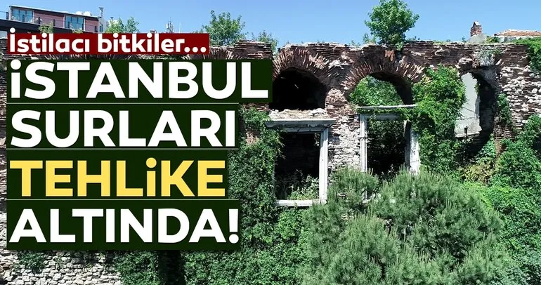 İstanbul surları tehlike altında! Müdahale edilmezse...