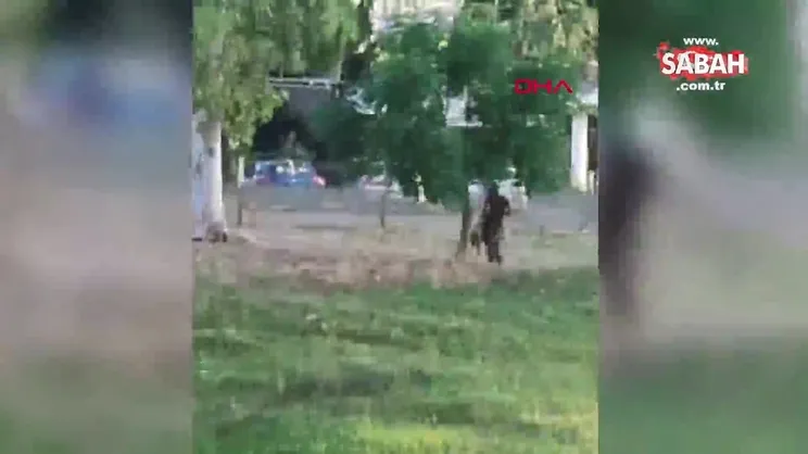 Sürüden ayrılan koyuna böyle şiddet uyguladı! | Video