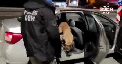 Narkotik köpeği Eris yine yakaladı: 103 kg 550 gr! | Video