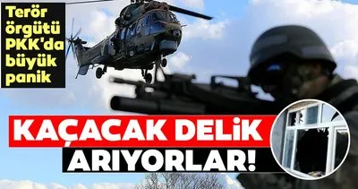 Terör örgütü PKK’da büyük panik! Kaçacak delik arıyorlar...