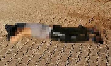 Viranşehir SON DAKİKA haberi - Canlı bomba öldürüldü!