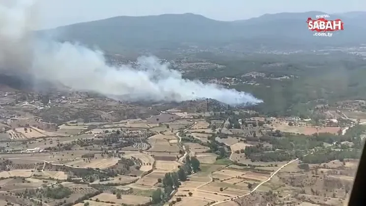 Milas’ta orman yangını! | Video