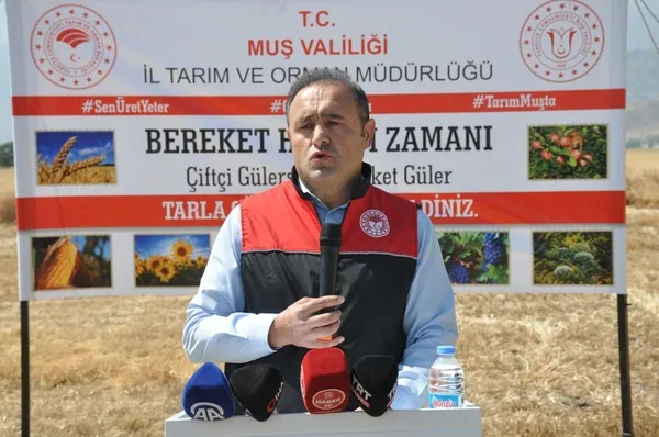 musta-hububat-hasadi-basladi-1784726502702.jpg