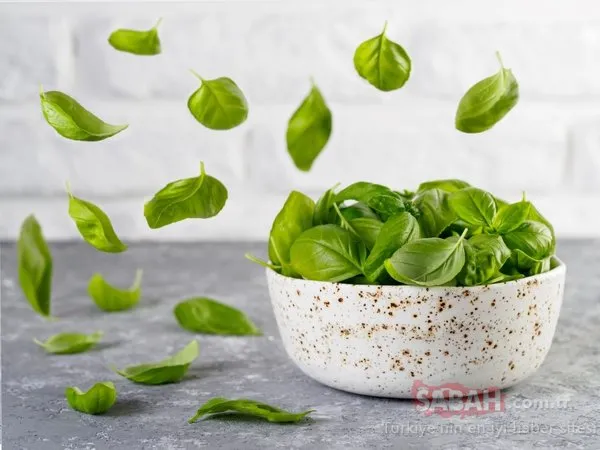 Vücuttaki tüm iltihabı kurutuyor