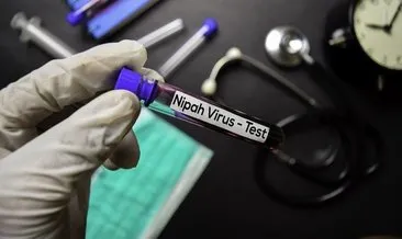 Dünya Sağlık Örgütü Nipah virüsü için uyardı! Nipah virüsü nedir, belirtileri nelerdir?