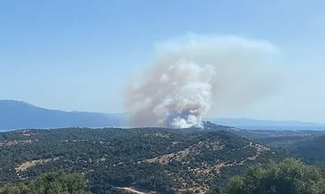 Çanakkale'de makilik alanda yangın: Antik kente sıçrayan alevler kontrol altında #canakkale