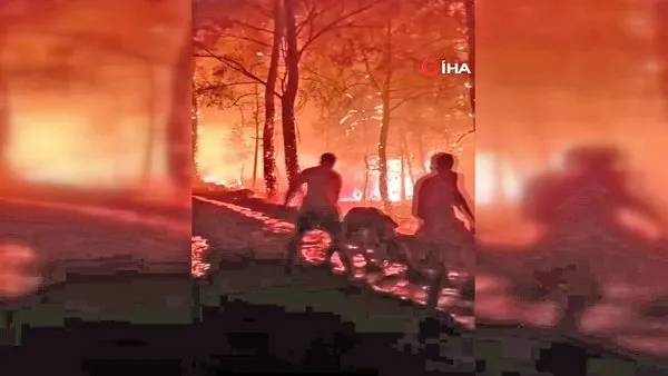 SON DAKİKA: Marmaris'te orman yangını bölgesindeki ölüm kalım savaşı kamerada!