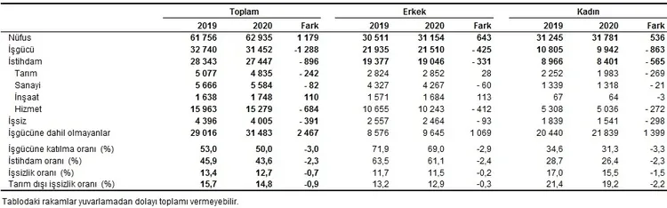 son-dakika-tuik-issizlik-rakamlarini-acikladi-1610348889923.jpg
