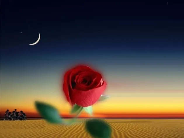 Hz Muhammed S A V In 7 Vasiyeti Son Dakika Haberler