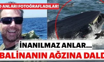 Son dakika haberi: Bir anda balinanın ağzına daldı! Mucize kurtuluş anbean fotoğraflandı...