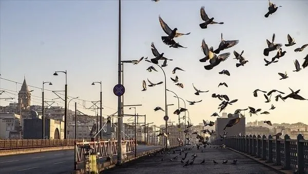 Seyahat Izin Belgesi Nasil Ve Nereden Alinir Kac Gune Cikar Sartlari Nelerdir E Devlet Ile Seyahat Izin Belgesi Basvurusu Ve Alma Ekrani Son Dakika Haber Son Dakika Haberler Seyahat Izin Belgesi Nasil Ve Nereden Alinir Kac Gune Cikar Sartlari Nelerdir E Devlet Ile Seyahat Izin Belgesi Basvurusu Ve Alma Ekrani Son Dakika Haber Son Dakika Haberler