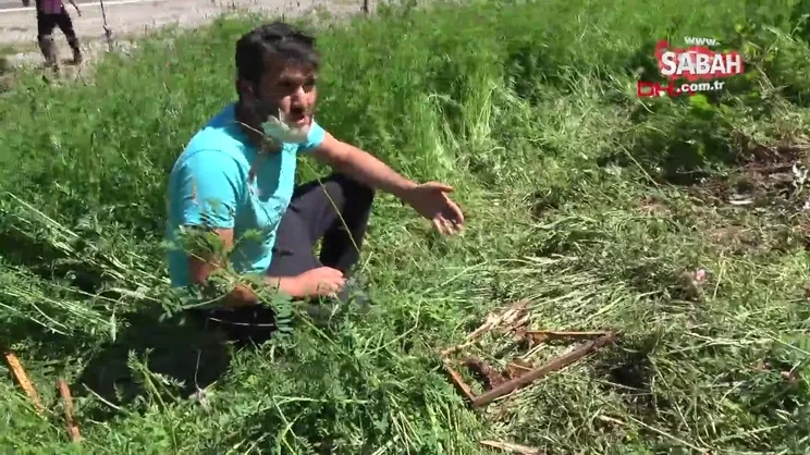 Bartın'da ayı 15 kovanı parçaladı