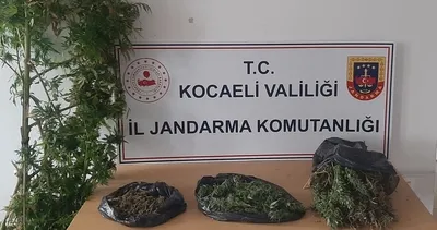 Zehir tacirlerine jandarma operasyonu!