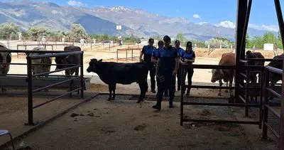 Polisten kurban pazarında sahte para uyarısı #erzincan