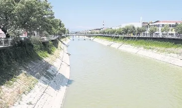 Asi Nehri’nde balık ölümleri