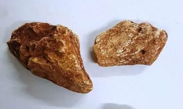 İnternetten araştırınca fark etti! Tam 40 milyon yıllık... 4 adet bulundu