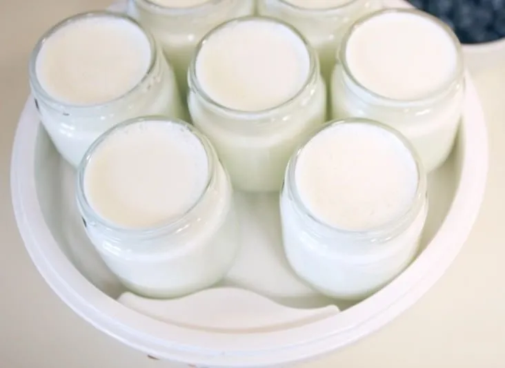 Ev yoğurdunun bu faydalarını daha önce hiç duymadınız!