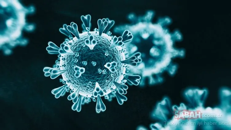 Corona virüsü iki farklı virüsün birleşimiyle mi oluştu? Yeni araştırmanın sonucu şaşkına çevirdi