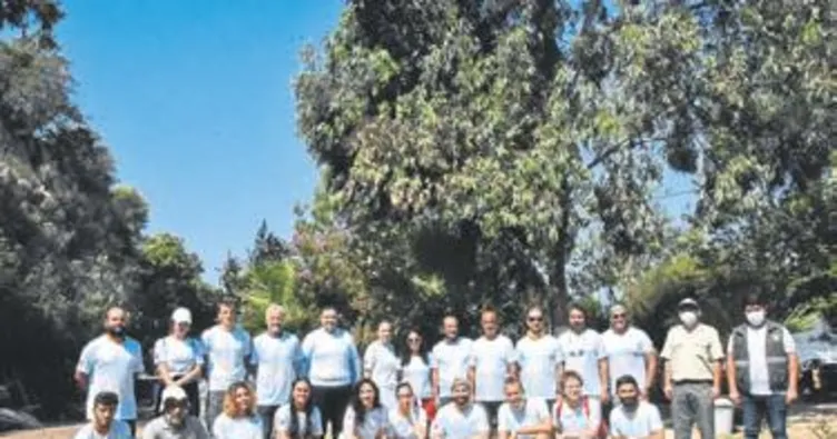 Gönüllüler caretta nöbetine başladı