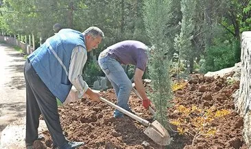 Adıyaman’nın Gölbaşı ilçesinde ağaç dikim çalışmaları devam ediyor
