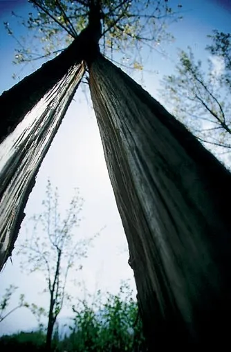 17 Ağustos 1999.. Türkiye'yi yıkan depremin acı görüntüleri