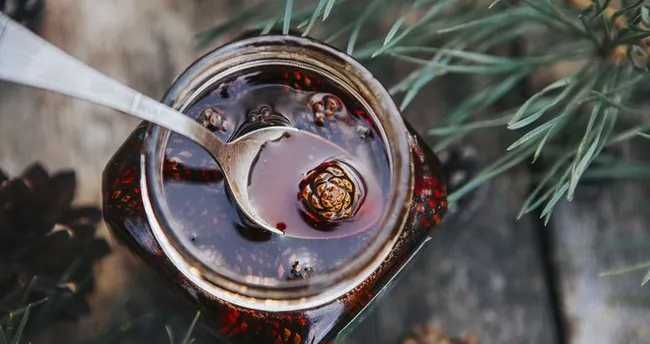 Kozalak Şurubu Faydaları – Kozalak Şurubunun Faydaları Nelerdir, Ne İşe Yarar ve Hangi Hastalıklara İyi Gelir?