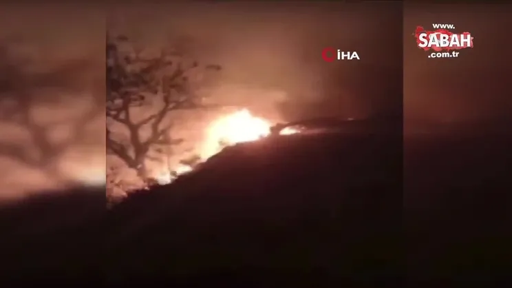 Meksika’da 42 orman yangını ile mücadele devam ediyor | Video