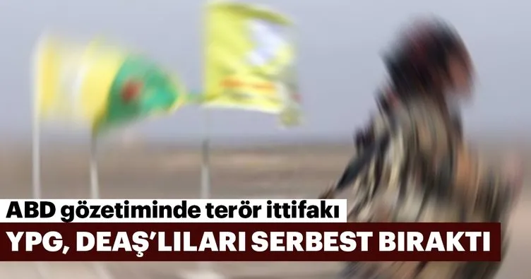 YPG, DEAŞ’lıları serbest bıraktı