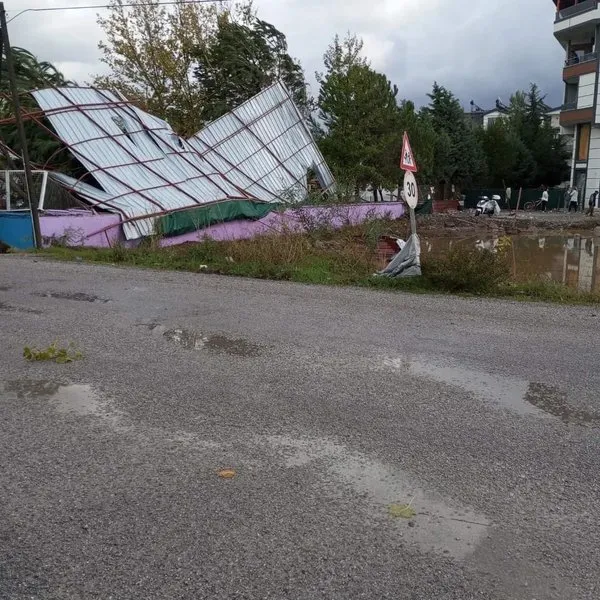 dalamanda-firtina-agaclari-kokunden-soktu-1700913599779.jpg