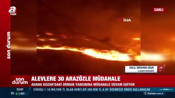 Adana'da başlayan orman yangını sürüyor | Video