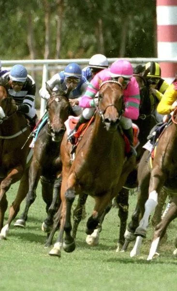 At yarışında ‘Doping’ kavramı yasaklandı
