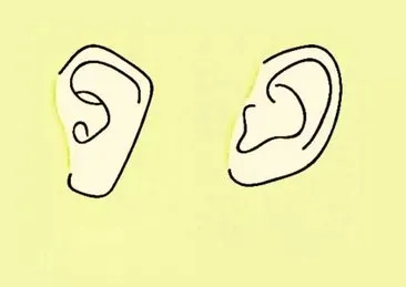 Kulak şekliniz kişiliğinizi ele veriyor! O kişiler doğuştan zeki oluyor…