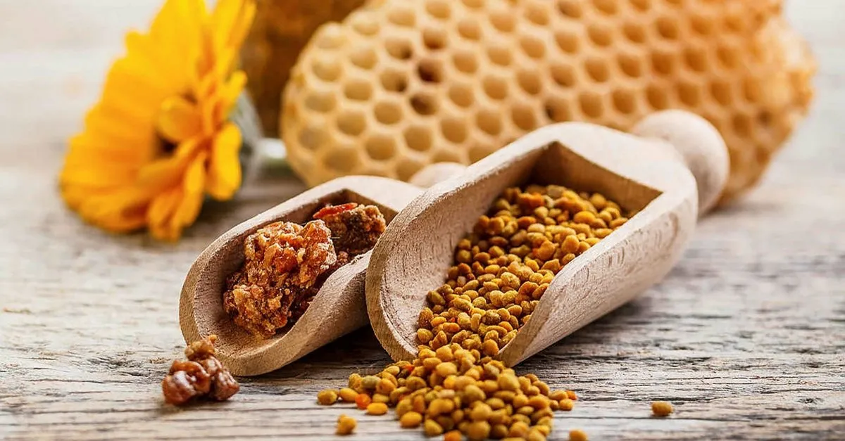 Propolis Nedir Ve Faydalari Nelerdir Iste Propolisin Sagliga Olan Inanilmaz Yararlari Ve Etkileri Son Dakika Haberler