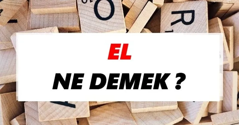 el ne demek tdk ya gore el sozluk anlami nedir tdk anlami haberleri