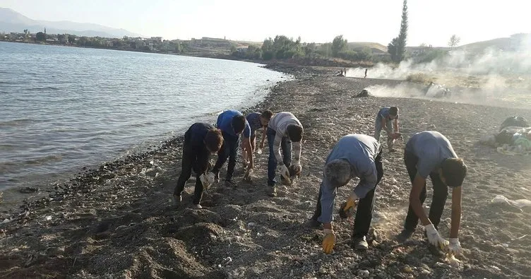 Van Gölü’nün sahilinde çevre temizliği yapıldı
