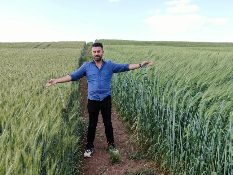 Türkiye’nin her yerinden sipariş yağıyor! Bahçesine ekti tam 7 bin yıllık!