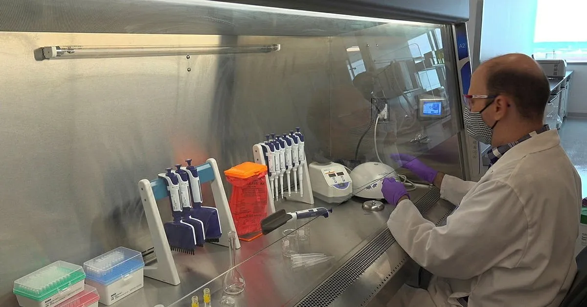 corona virusun genetik kodunda yeni