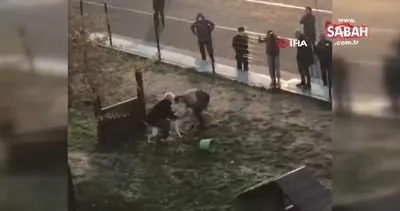 Küçükçekmece’de pitbull dehşeti | Video