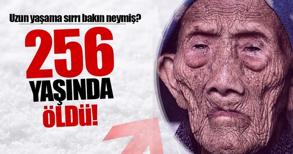 256 yil yasayan cinli adam bakin sirri neymis sayfa 8 son dakika haberler