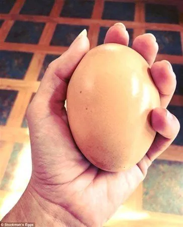 Marketten aldılar! İçinden çıkanlar şoke etti