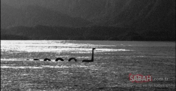 Loch Ness canavarının gizemi çözülüyor