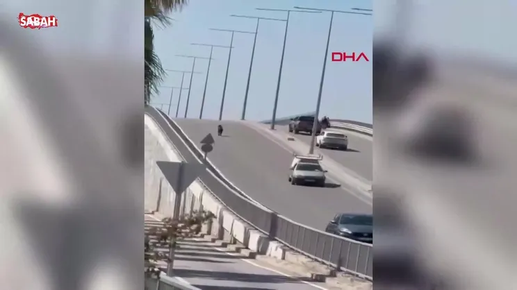 Kaçan keçi, trafiği birbirine kattı