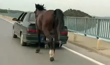 Ata eziyet eden 2 kişi tutuklandı #adana