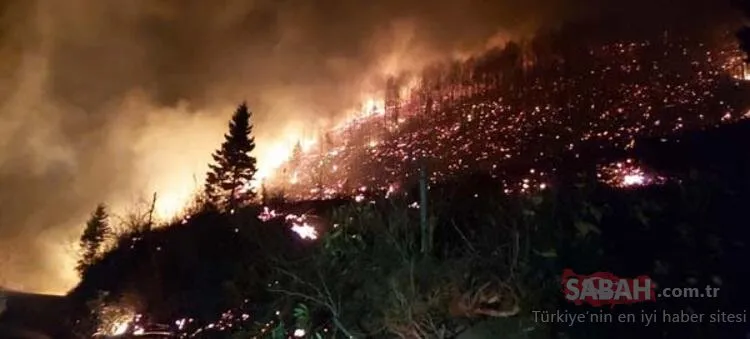 Karadeniz'de 26 noktada orman yangını: 5 ev kül oldu, tarım arazileri zarar gördü