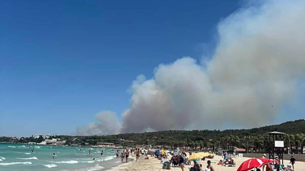 Son dakika: İzmir Çeşme'de orman yangını