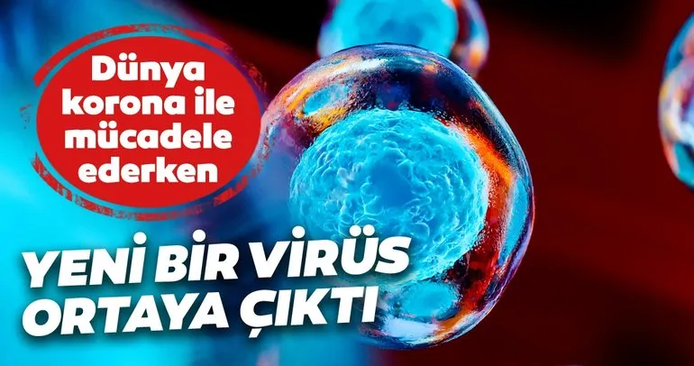 Son dakika haberi: Corona virüs Covid-19 vaka sayısıyla mücadele ediliyordu! Yeni bir grip virüsü ortaya çıktı