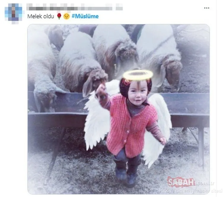 son dakika muslume yagal in dedesi hasan yagal hakkinda mide bulandiran yeni bilgiler ortaya cikti sok facebook paylasimi videosunu izle son dakika haberleri